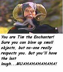 You are Tim the Enchanter! Sure you can blow up small objects, but no-one really respects you. But you'll have the last laugh...MUAHAHAHAHAHAHA!