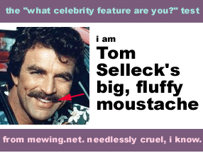 Tom Selleck's Moustache