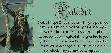 You are a Paladin!